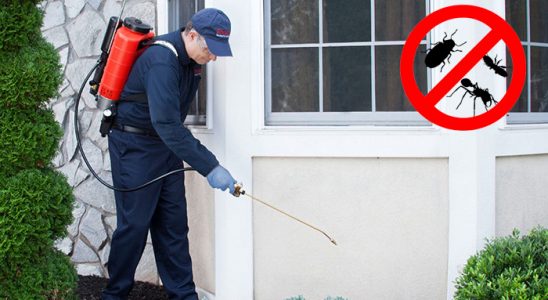 Uluborlu Bit İlaçlama böcek ilaçlama ve haşere kontrolü — ilaclama-tr.com